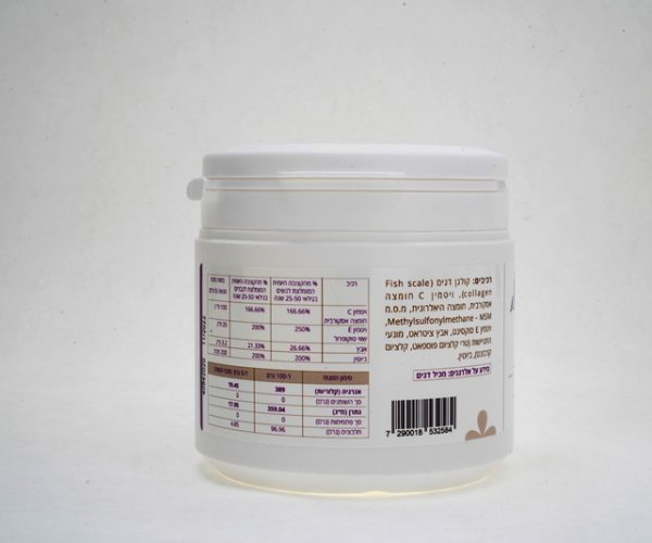 galery2_powder 1